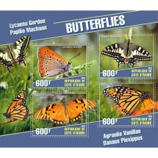 Fauna insects butterflies